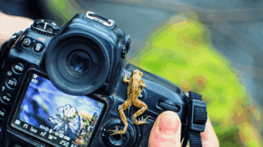 Extended Photography