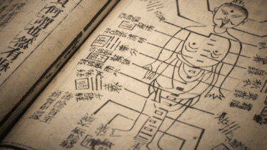 Traditional Chinese Medicine workshops with Angela Zhu