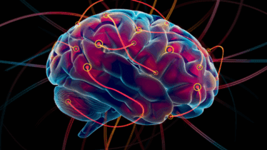 Brain Health Through Qi