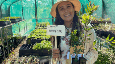 Bushcare at Northside Produce Market