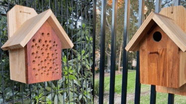 Build a Birdhouse or A Bee Hotel