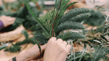 Christmas Wreath Decorating - One Day Only