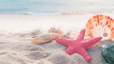 Summer Edition Classes