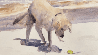 Animal and Wildlife with Watercolours