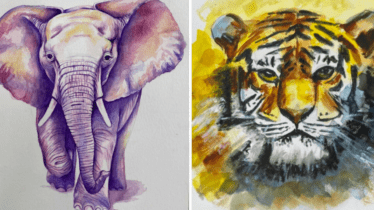Wild in Watercolour
