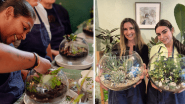 Terrarium Workshop