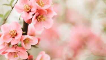 Embracing Spring: Tips for Physical and Mental Health